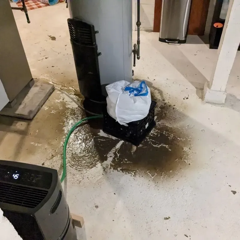 Sewage Backup Cleanup Service in Mesa Verde, CA